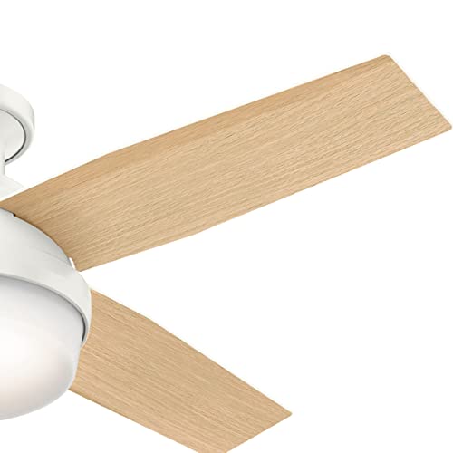 Hunter Fan Dempsey Low Profile Indoor Ceiling Fan with LED Light and Remote Control