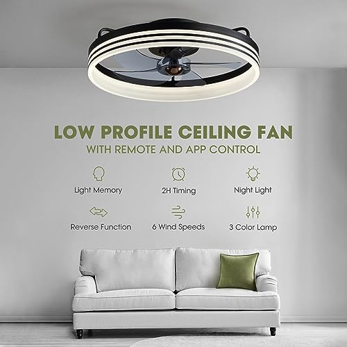 LUDOMIDE Ceiling Fans with Lights, Flush Mount Ceiling Fan with Lights and Remote