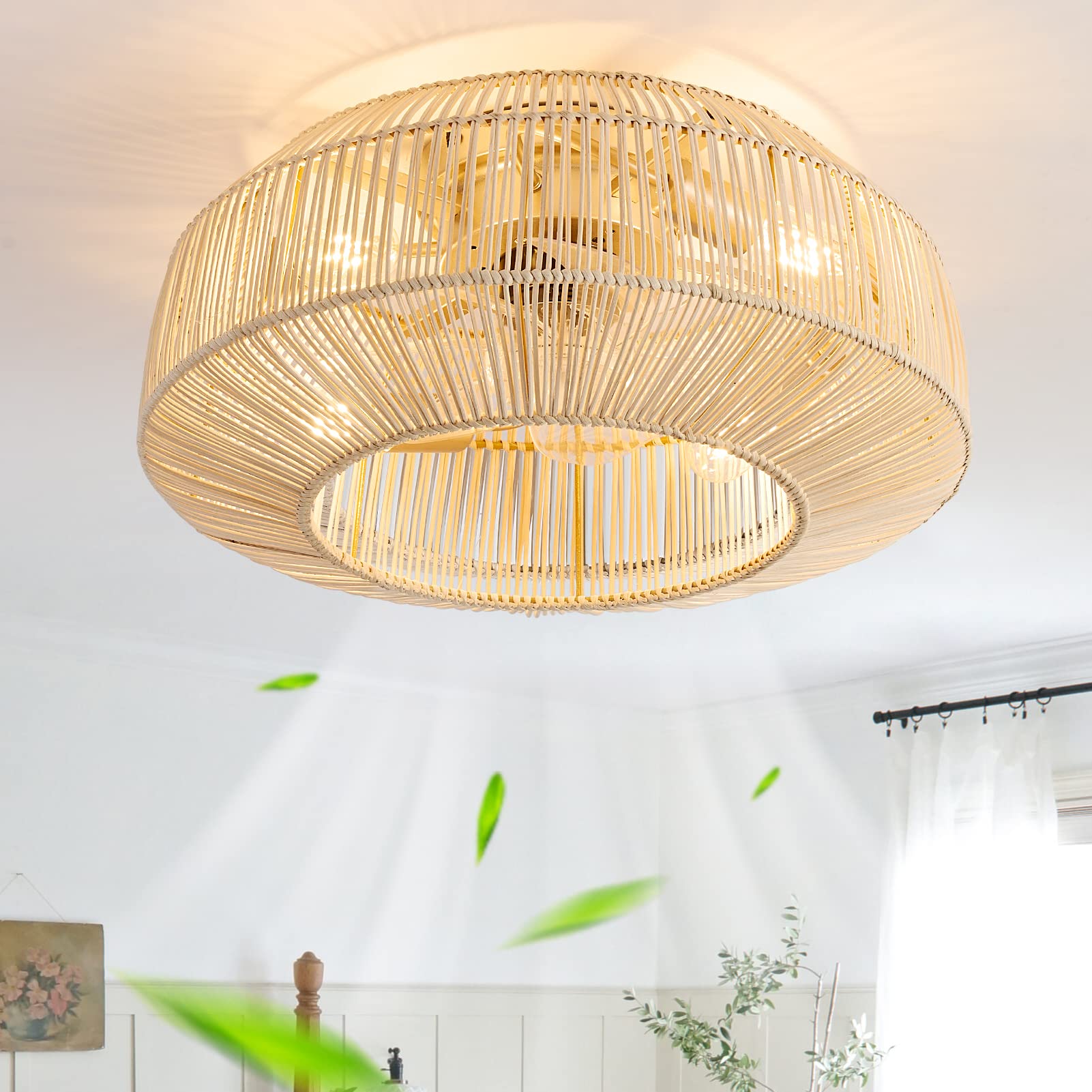 zheshirui 20" Boho Caged Ceiling Fan with Lights Flush Mount